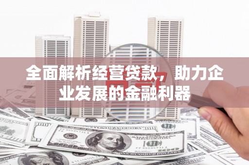 子长全面解析经营贷款，助力企业发展的金融利器