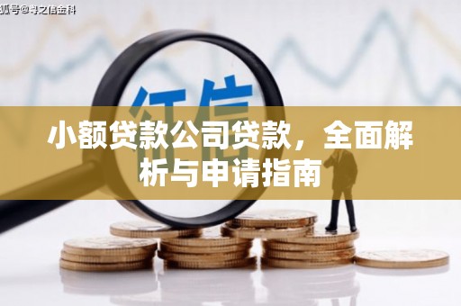 子长小额贷款公司贷款，全面解析与申请指南