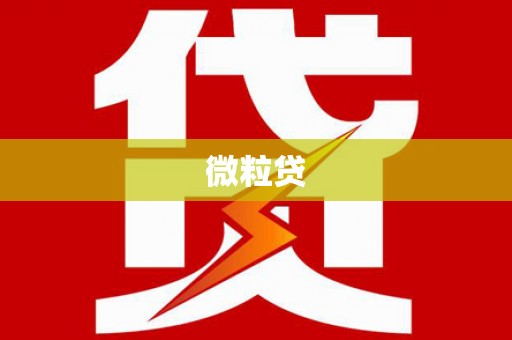 子长微粒贷