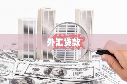 子长外汇贷款