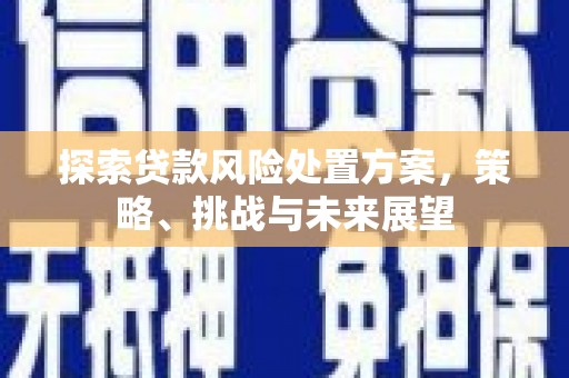 子长探索贷款风险处置方案，策略、挑战与未来展望