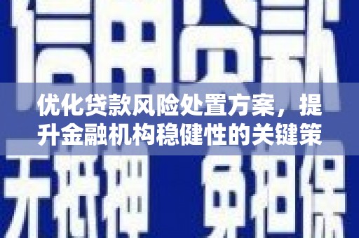 子长优化贷款风险处置方案，提升金融机构稳健性的关键策略
