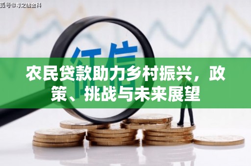 子长农民贷款助力乡村振兴，政策、挑战与未来展望