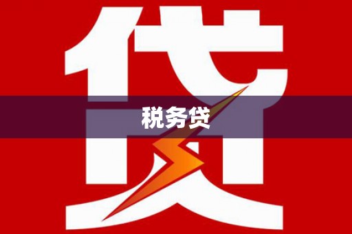 子长税务贷