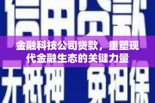 子长金融科技公司贷款，重塑现代金融生态的关键力量