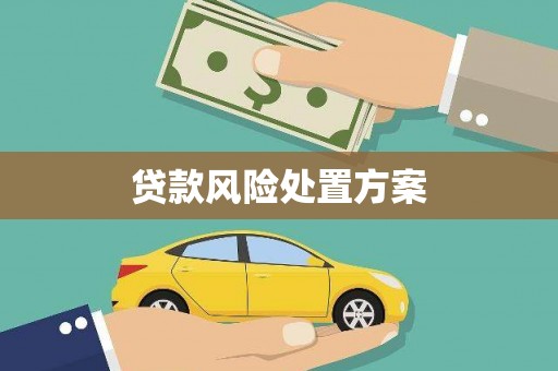 子长贷款风险处置方案