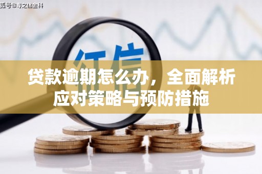 子长贷款逾期怎么办，全面解析应对策略与预防措施