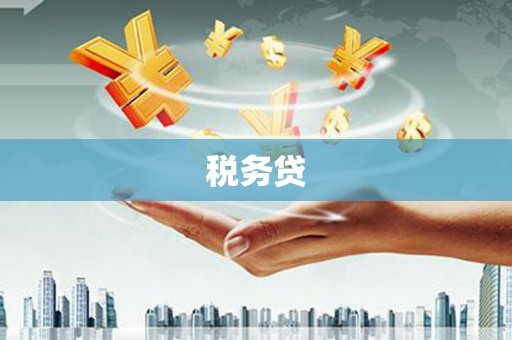 子长税务贷