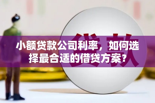 子长小额贷款公司利率，如何选择最合适的借贷方案？