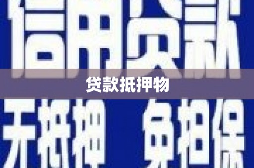 子长贷款抵押物