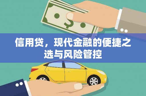 子长信用贷，现代金融的便捷之选与风险管控