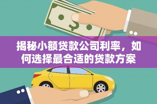 子长揭秘小额贷款公司利率，如何选择最合适的贷款方案