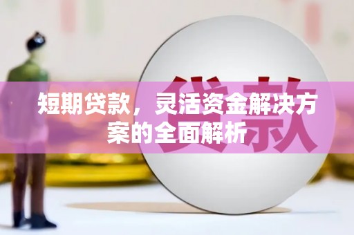 子长短期贷款，灵活资金解决方案的全面解析