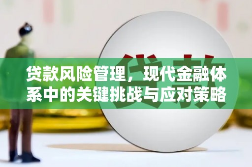 子长贷款风险管理，现代金融体系中的关键挑战与应对策略
