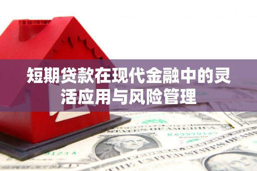 子长短期贷款在现代金融中的灵活应用与风险管理